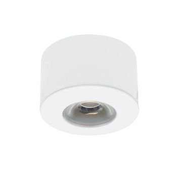 LED Downlight